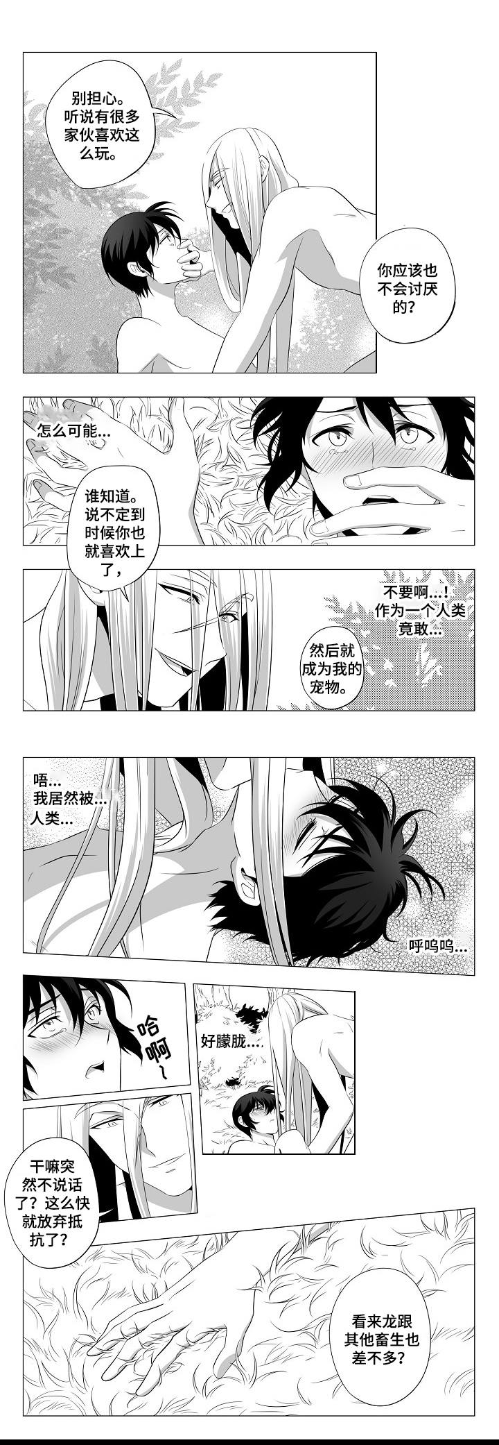 第2章：计划逃跑1