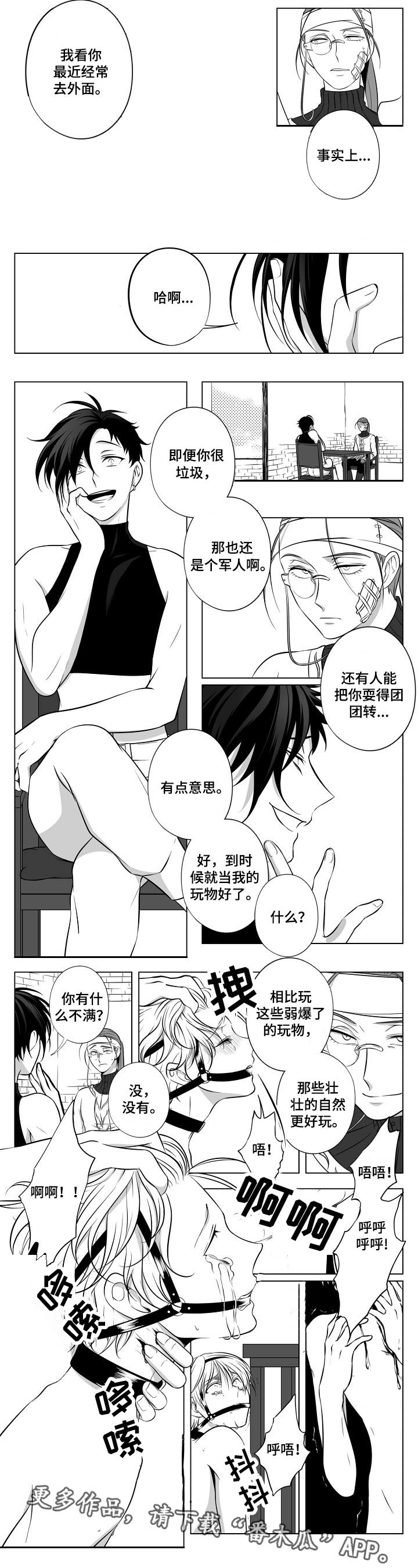 第19章：团团转8