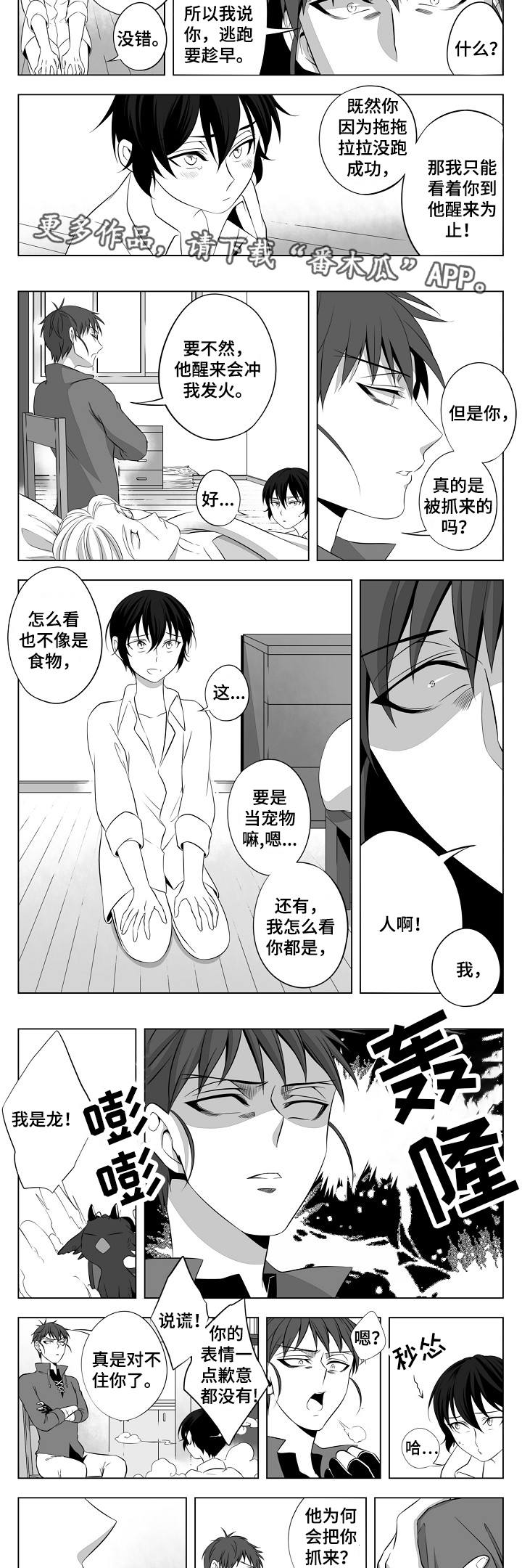 第4章：一见钟情2