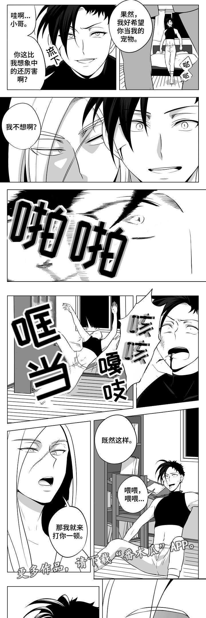 第22章：终于来了6