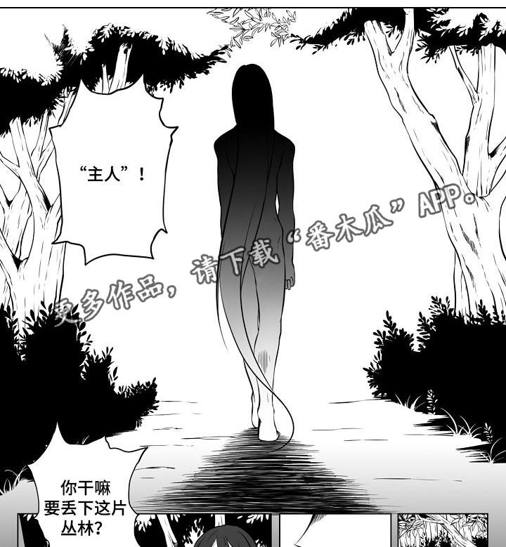 第19章：团团转0