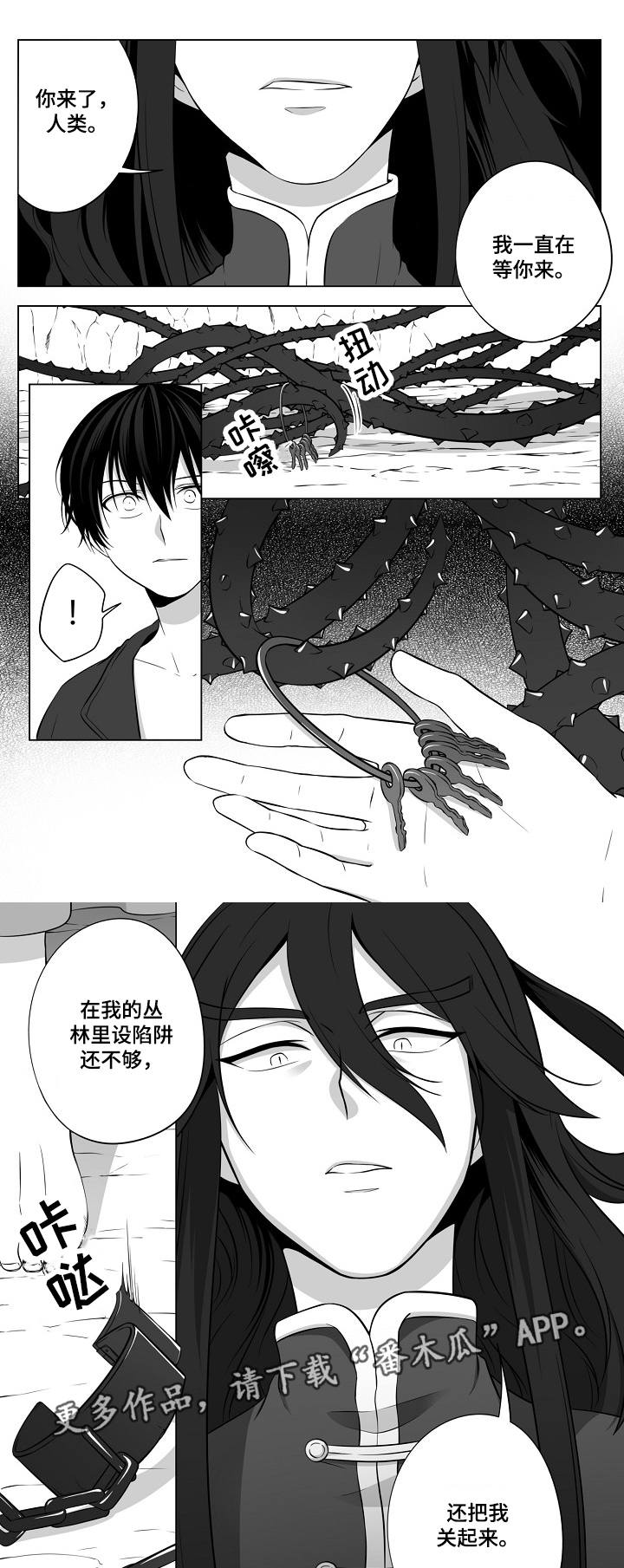 第17章：另一条龙7