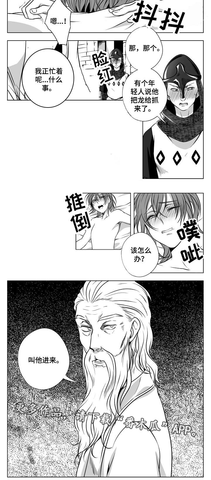 第20章：皇宫8