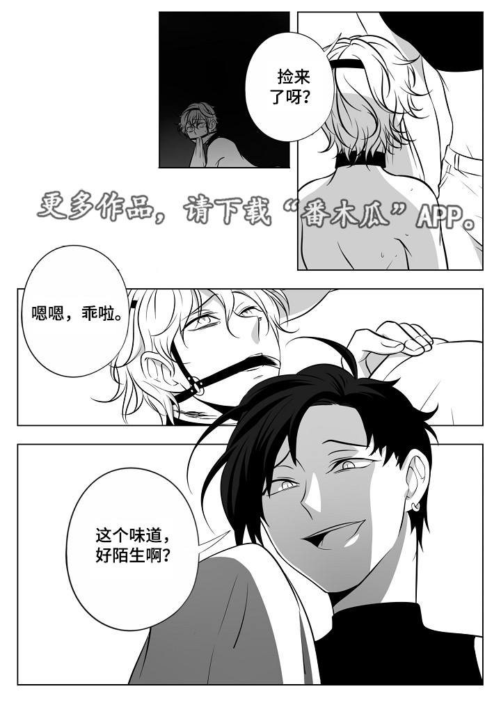 第20章：皇宫4