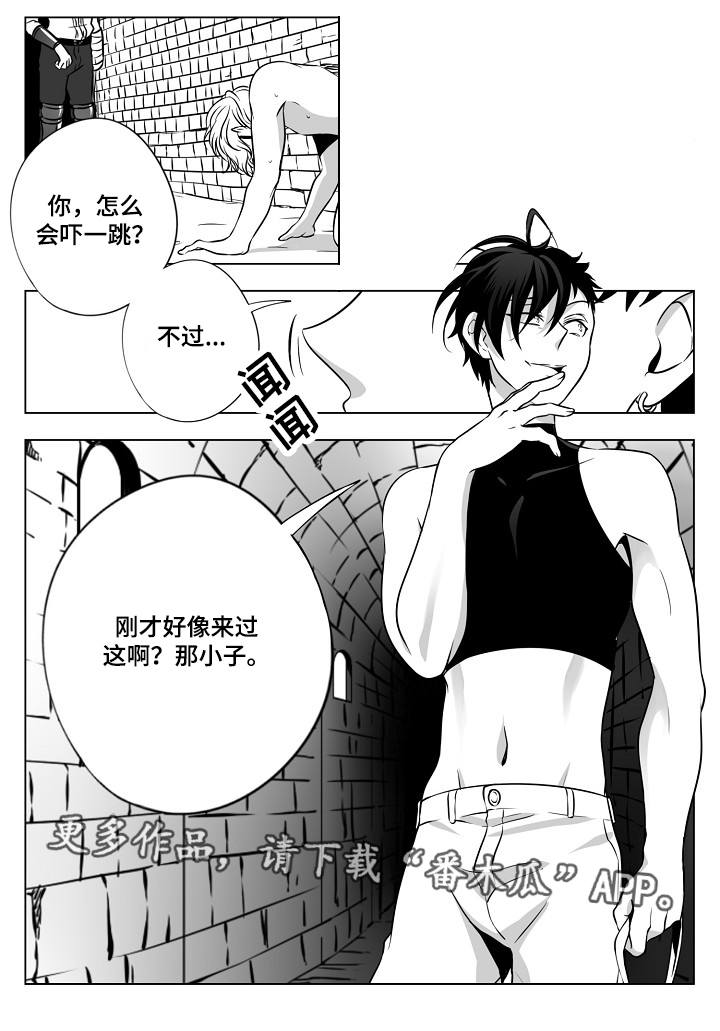 第21章：除掉他们5