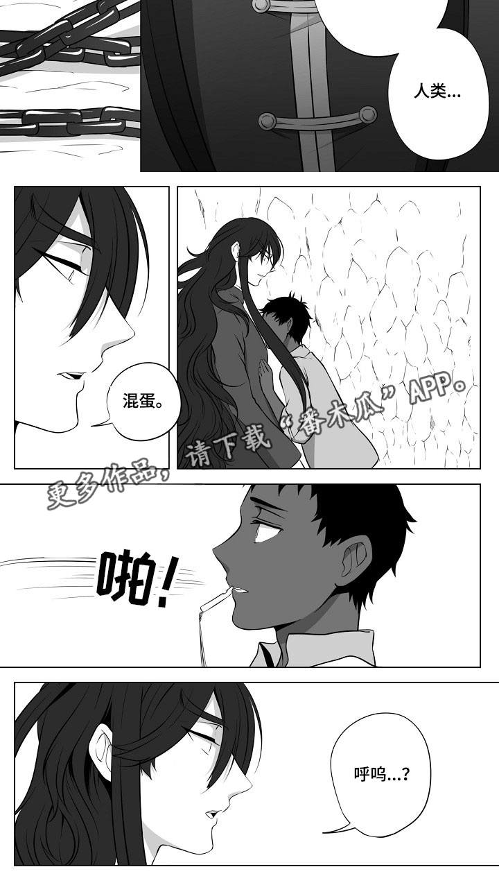 第17章：另一条龙8