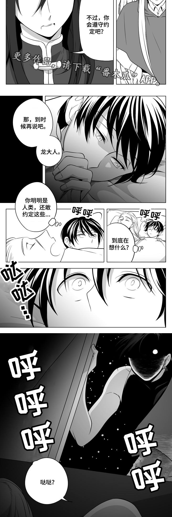 第22章：终于来了3