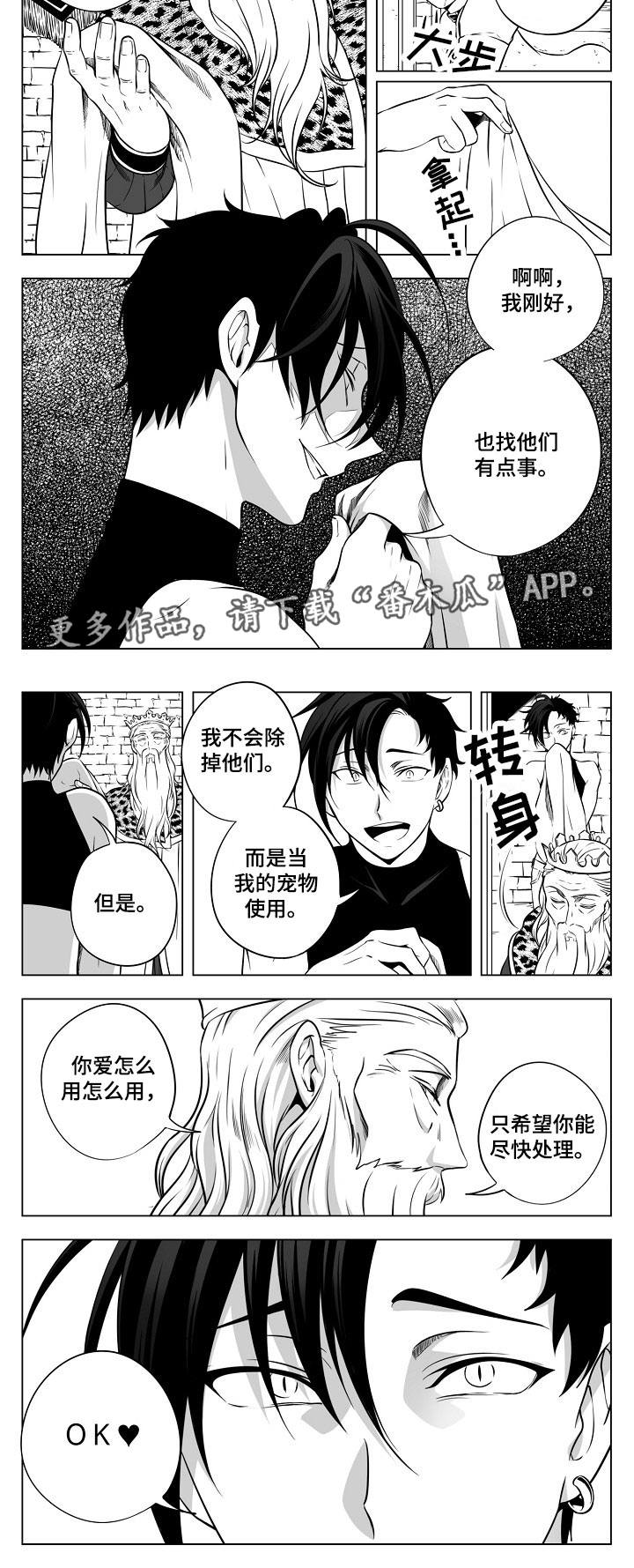 第21章：除掉他们8