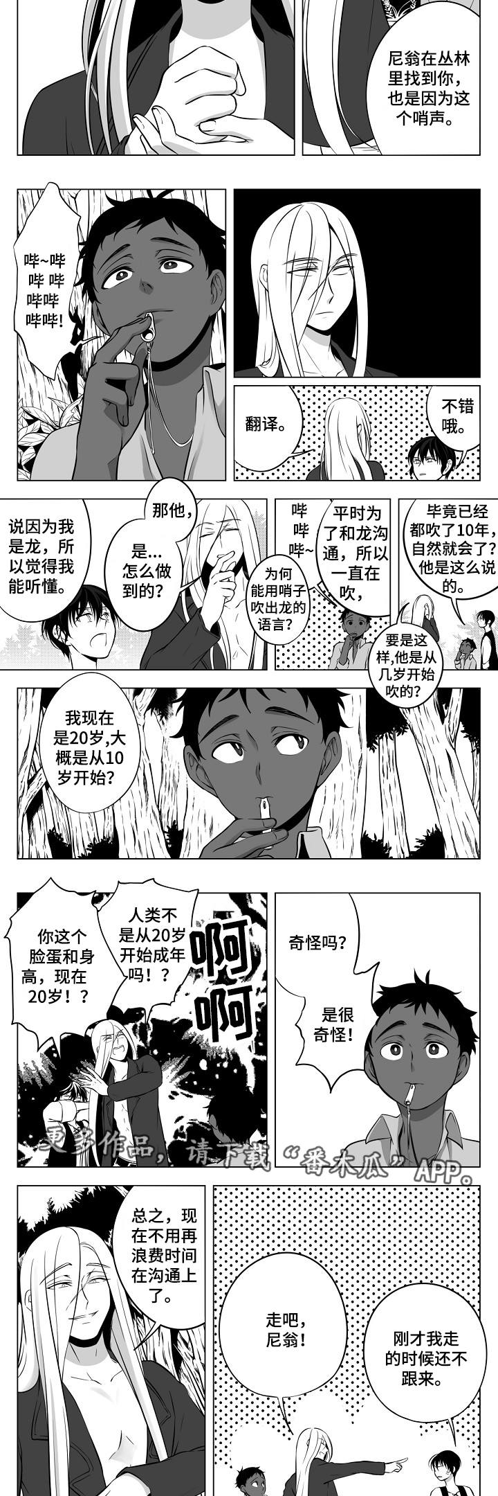 第12章：陷阱3