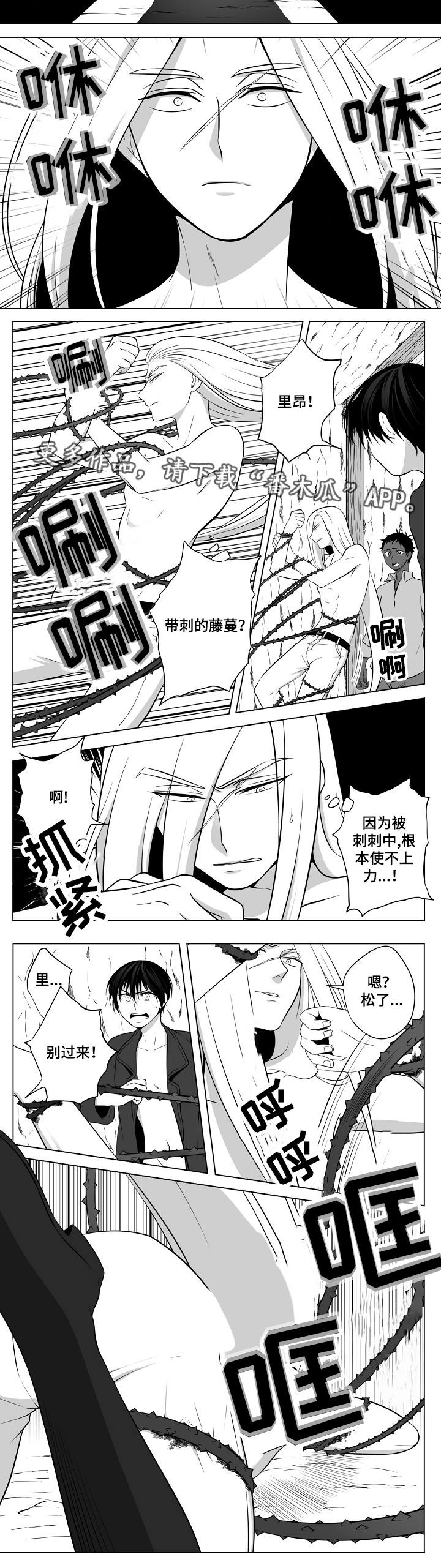 第17章：另一条龙6