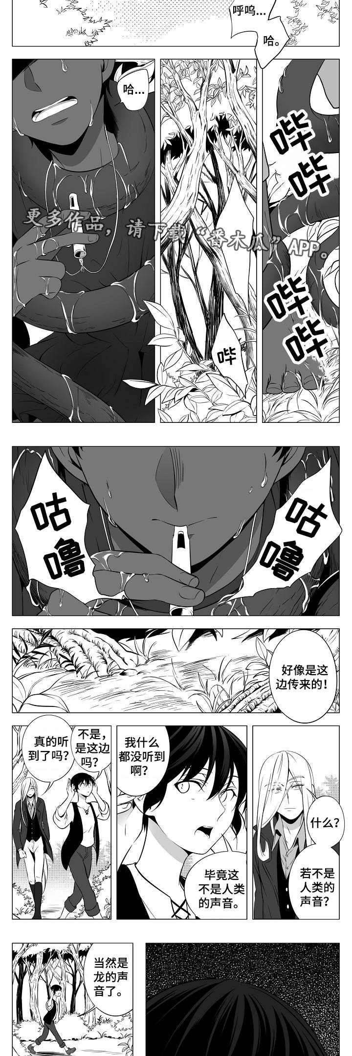 第8章：龙的声音1