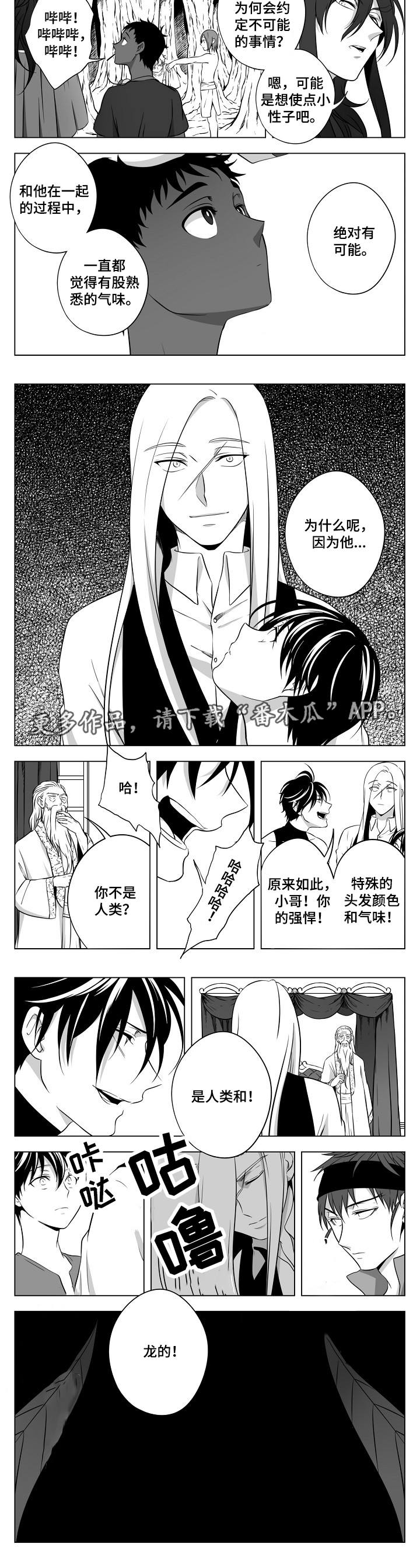 第24章：终章3