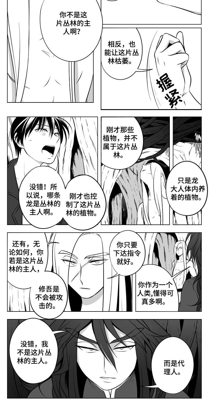 第18章：丛林的主人8