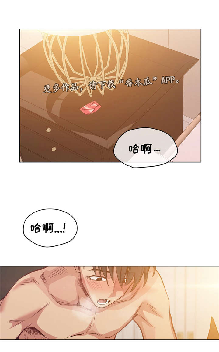 第37章：忘掉那个女人9