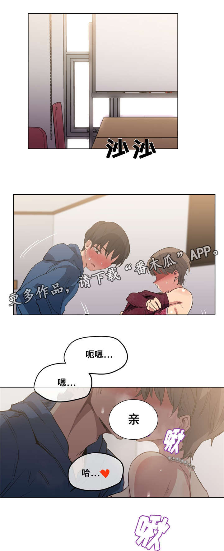 第29章：哪句是真的0