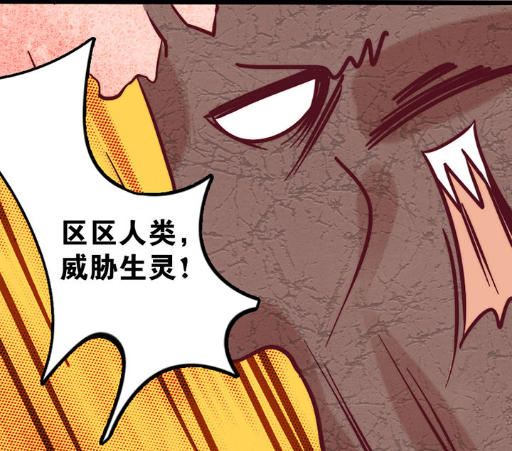 第19章：13
