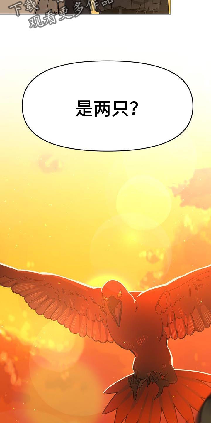 第54章：袭击22