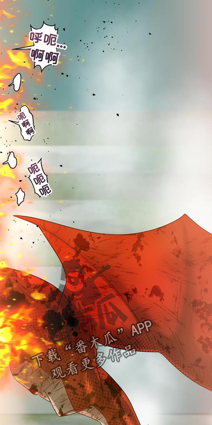 第40章：解除保护罩22