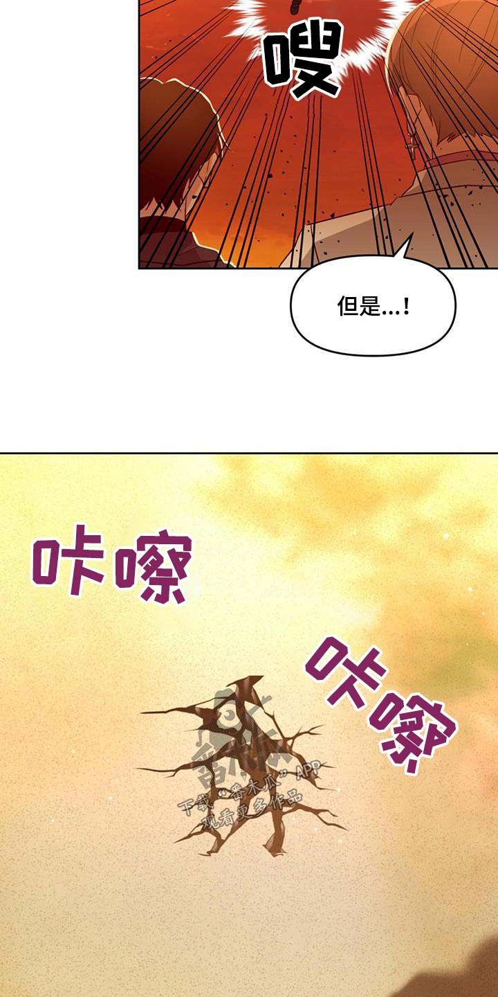 第58章：那是什么11