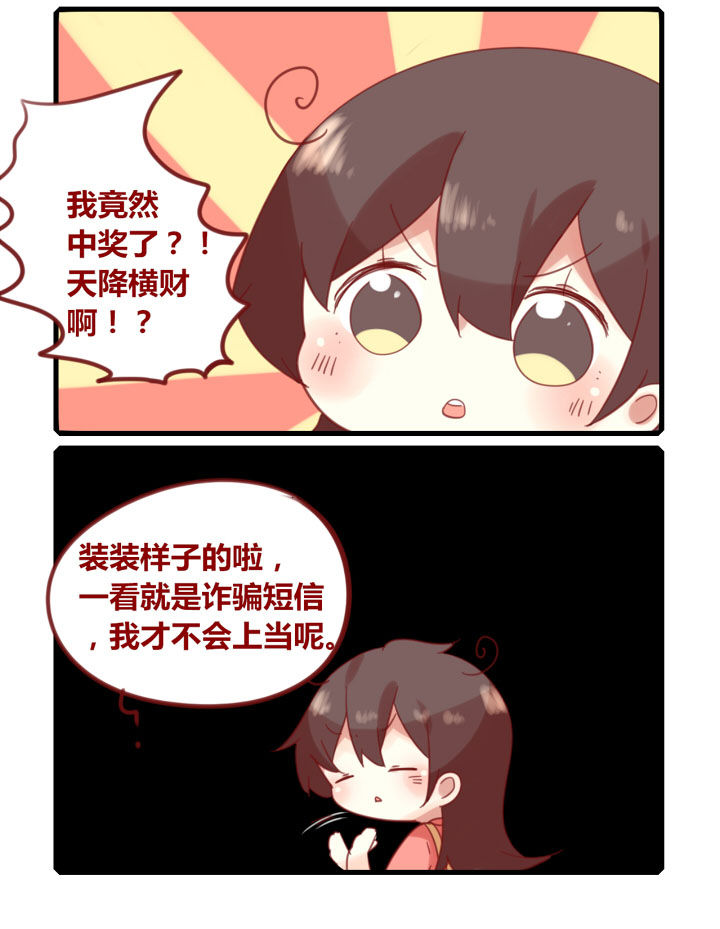 第219章：诈骗短信1
