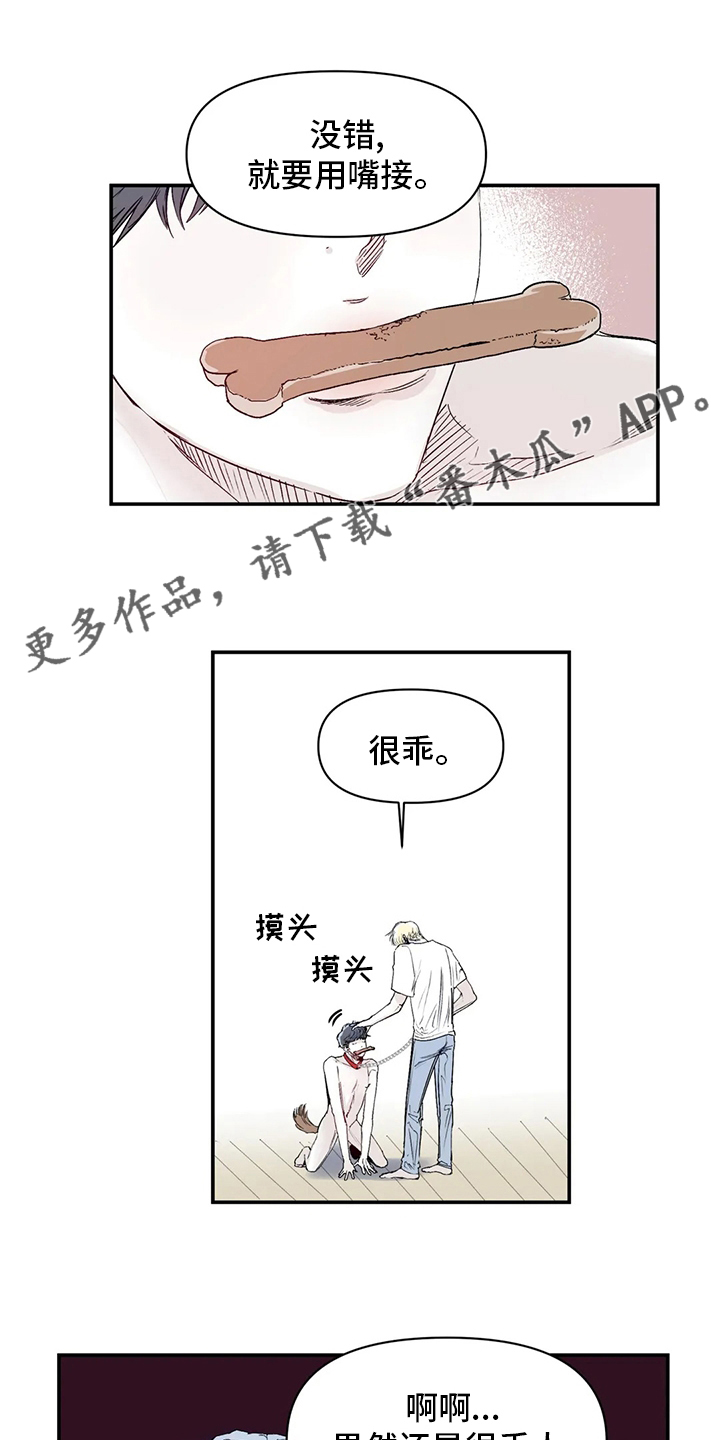 第22章：傻瓜0