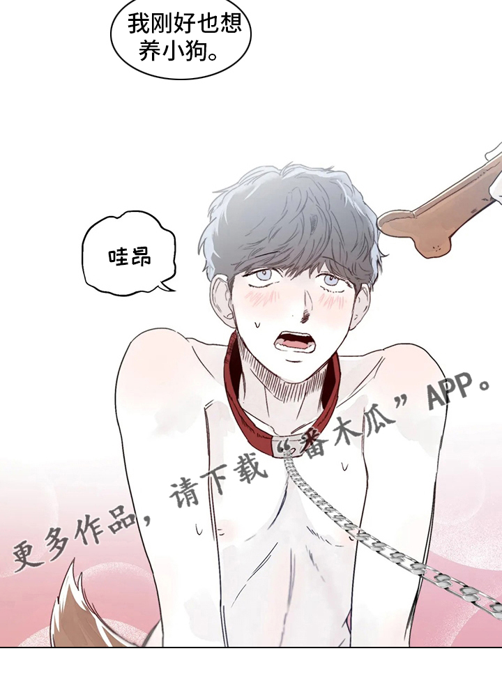 第21章：小狗15