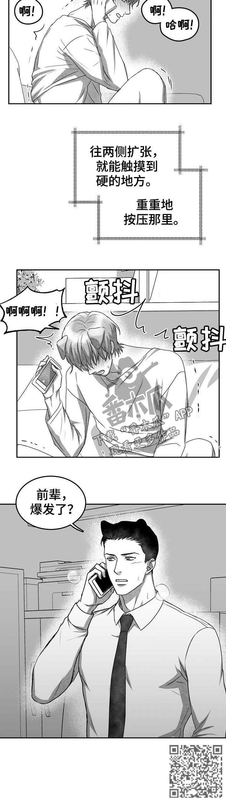第41章：打电话11