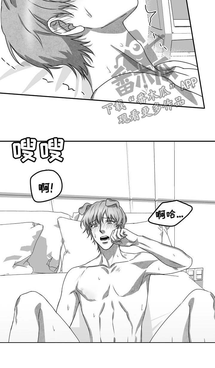 第43章：项目结束6