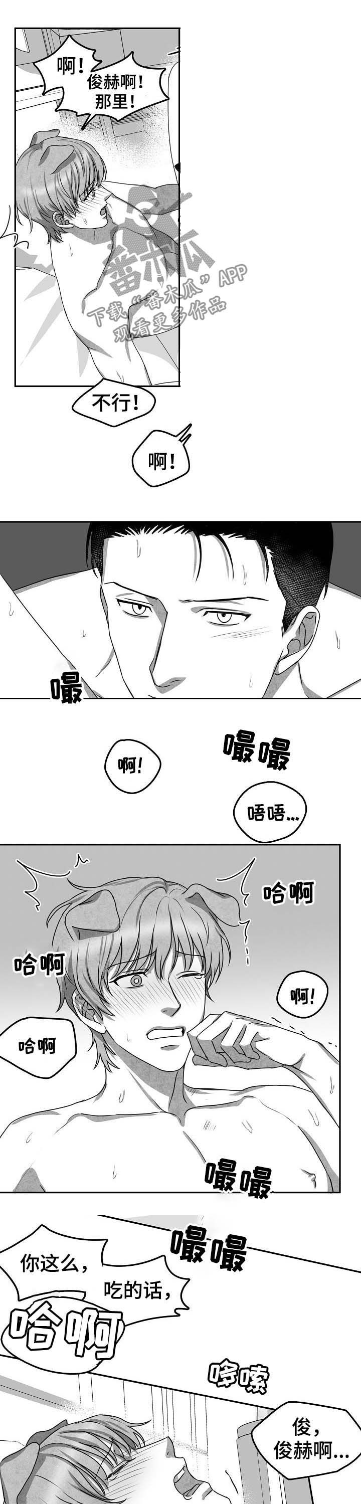 第43章：项目结束5