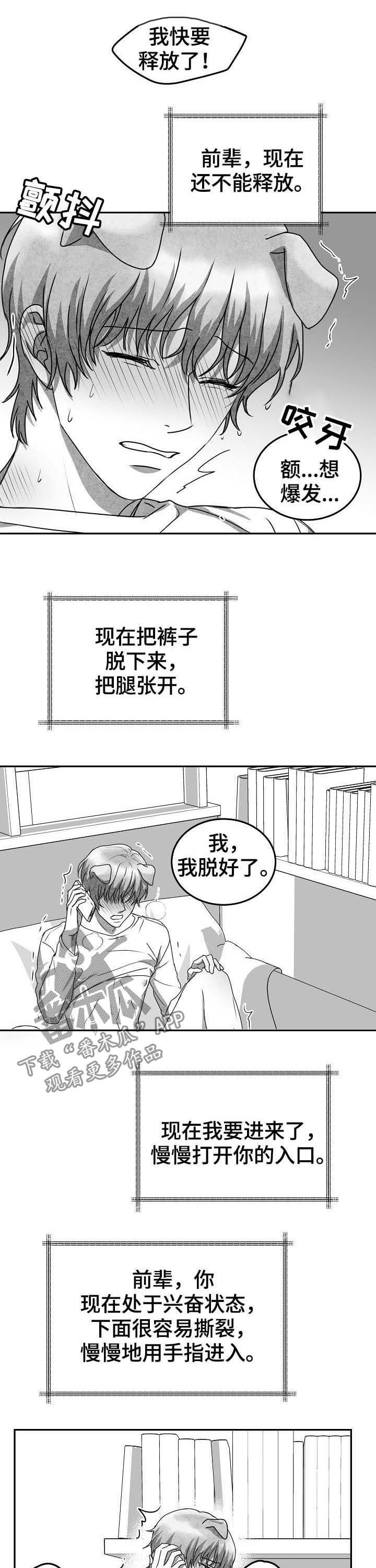 第41章：打电话10