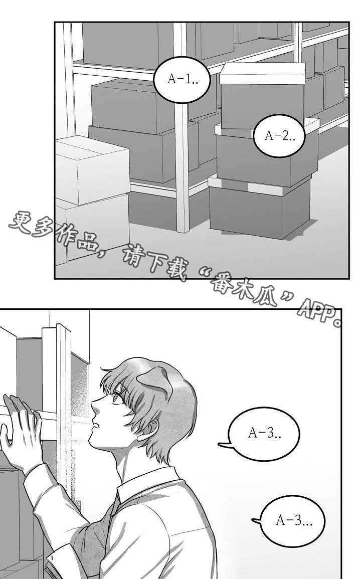 第13章：现在做吧4