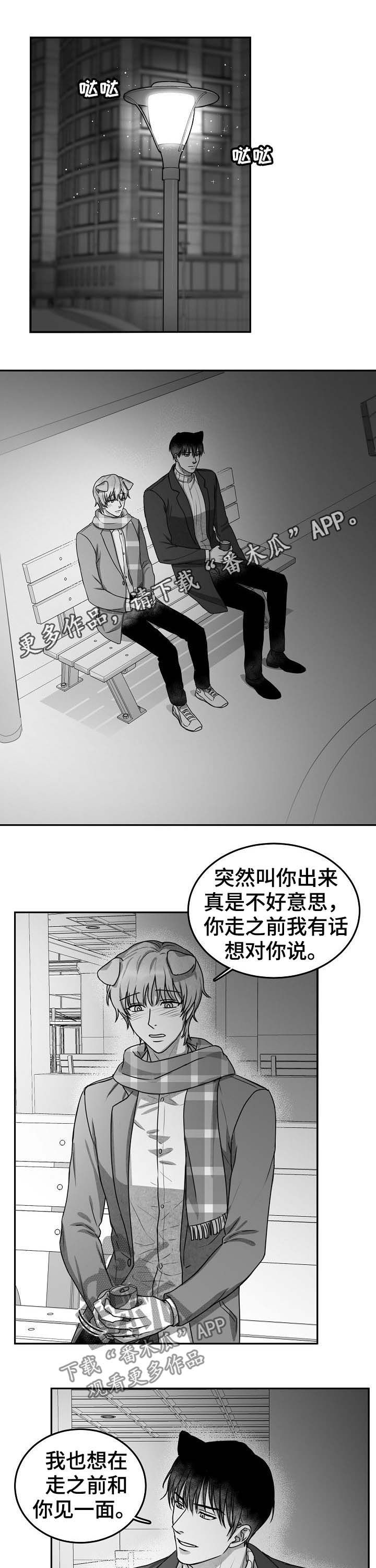 第39章：表白0
