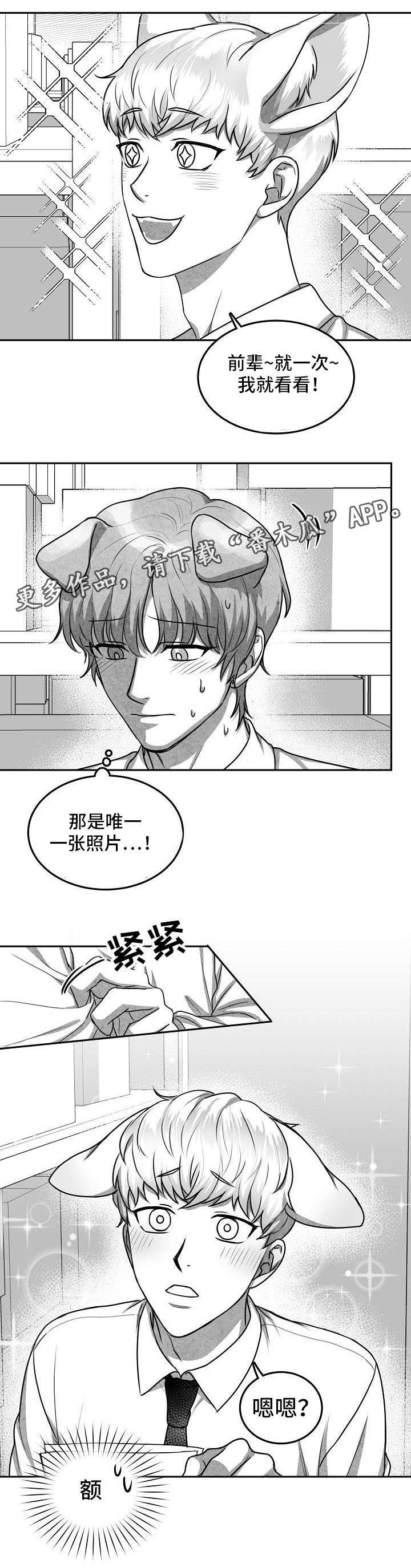 第19章：照片4