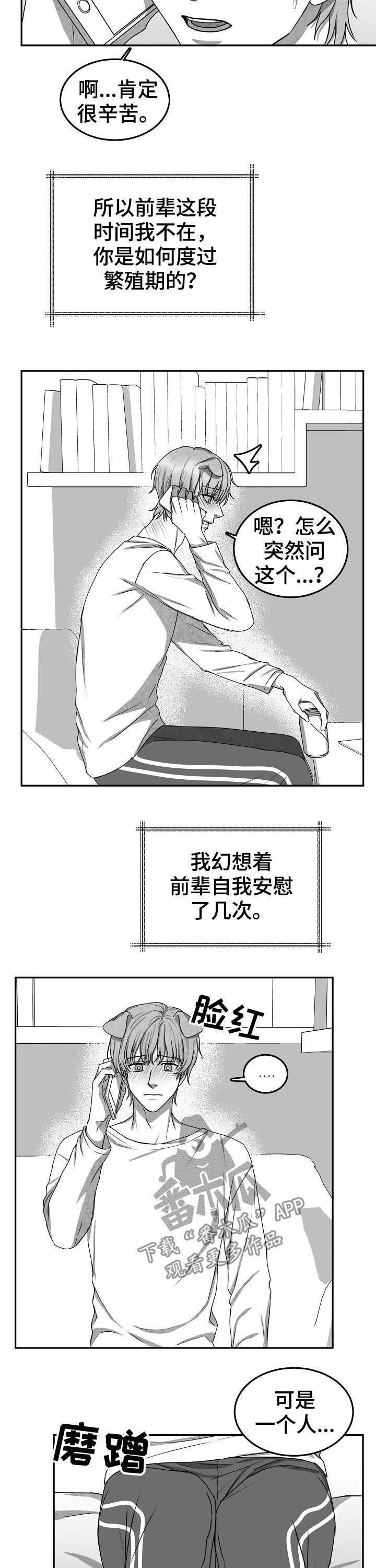 第41章：打电话5