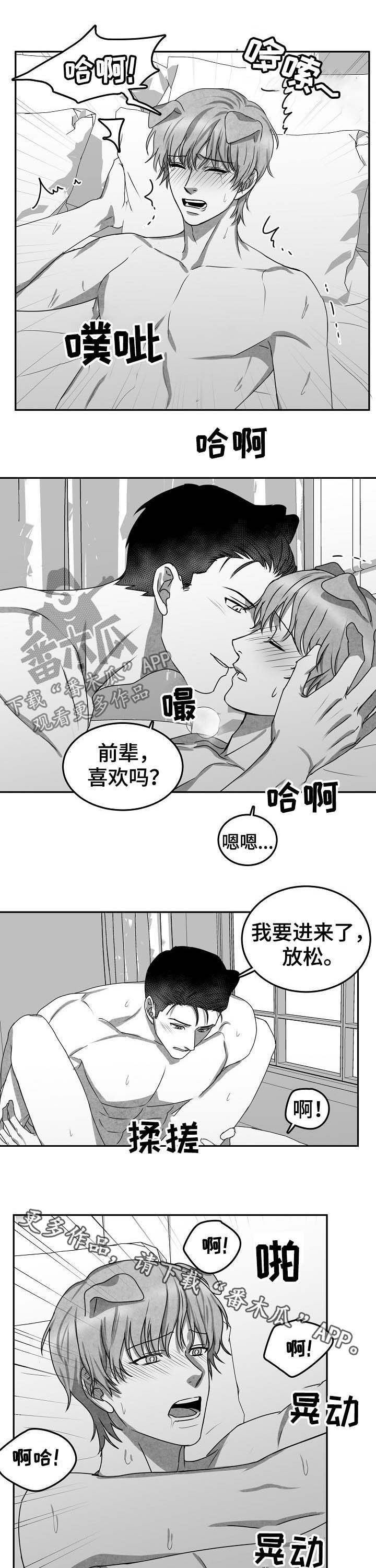 第43章：项目结束7