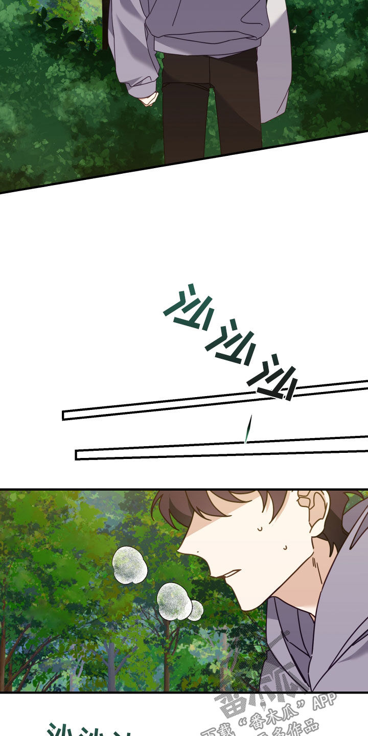 第50章：狩猎2