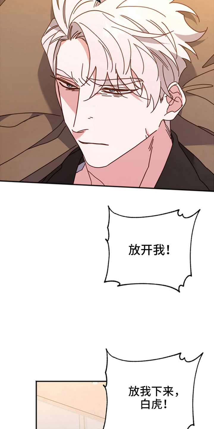 第55章：已经交流过31