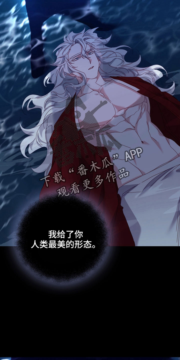 第45章：赌约3