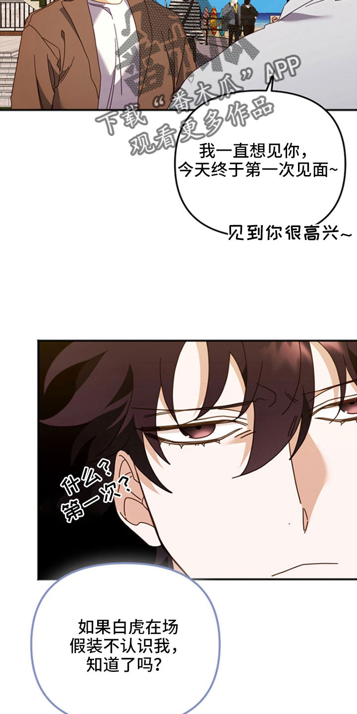 第55章：已经交流过11