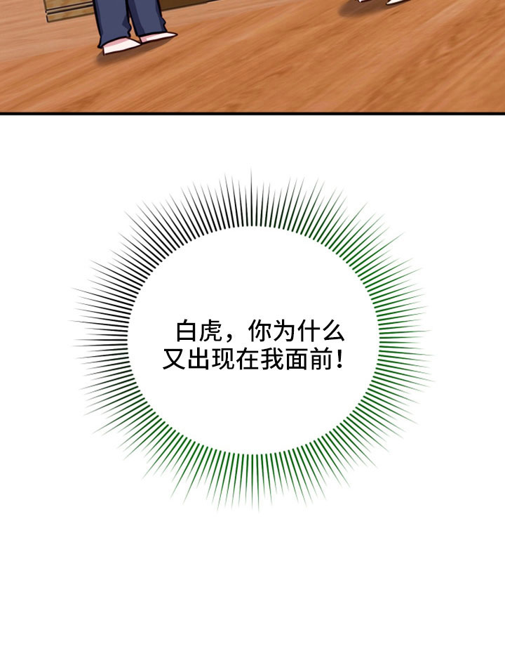 第33章：为什么又出现27