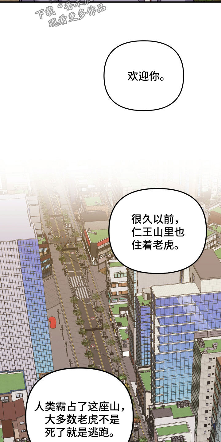 第50章：狩猎11