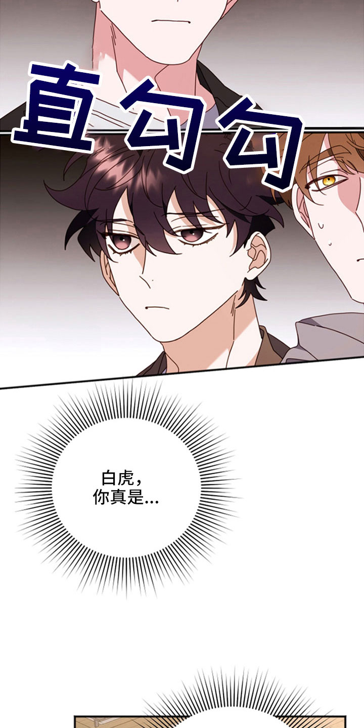 第55章：已经交流过14