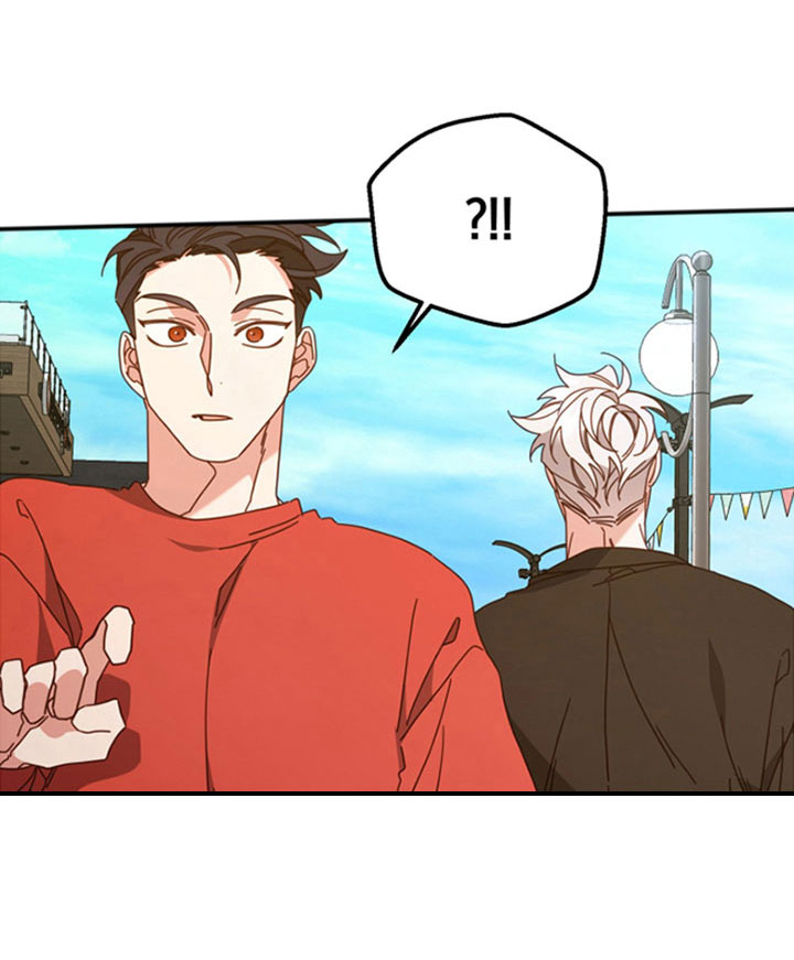 第55章：已经交流过17