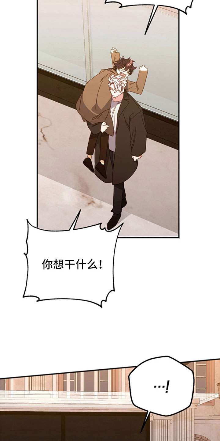 第55章：已经交流过32