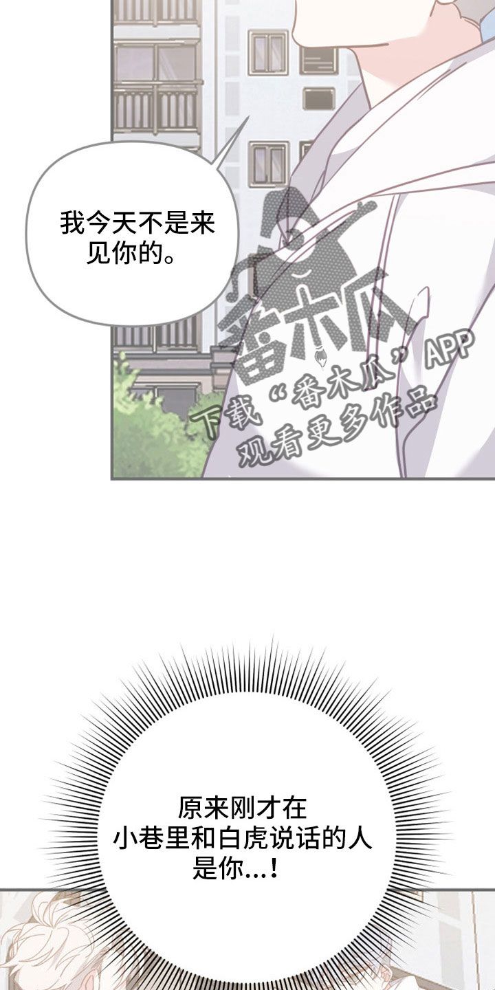 第36章：为了见你14