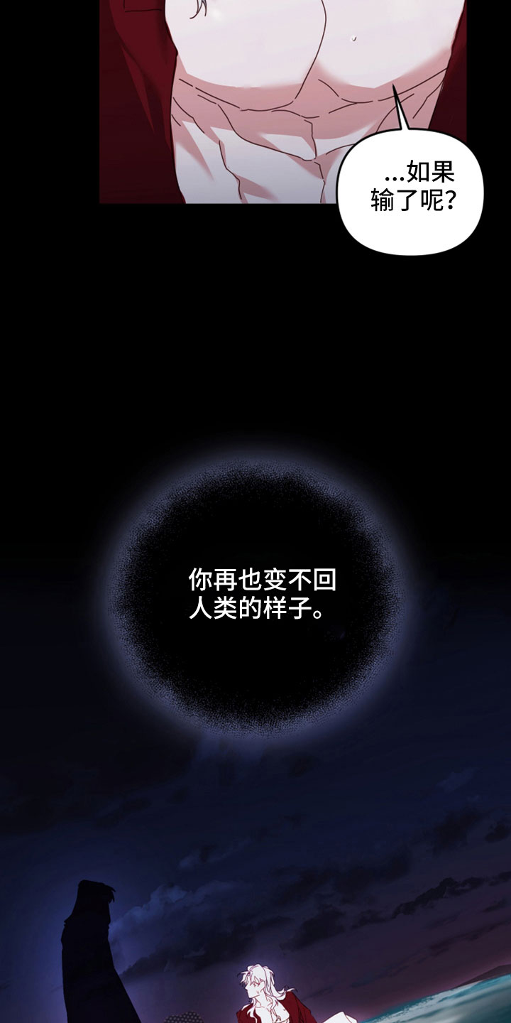 第45章：赌约11