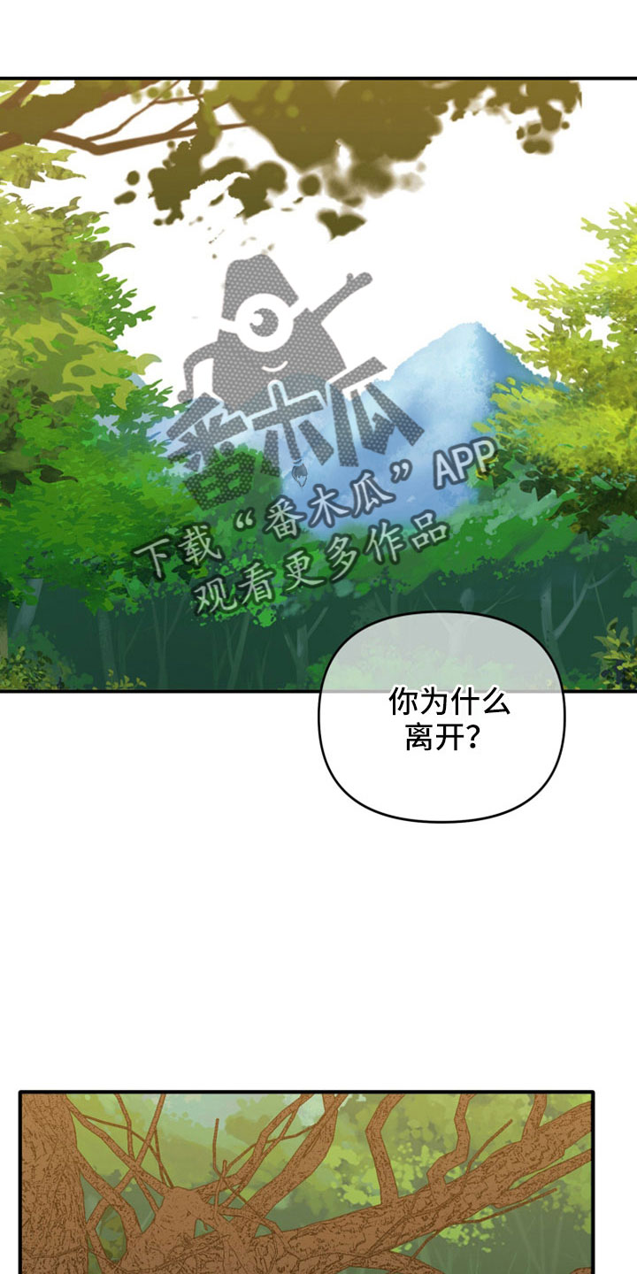第28章：兄弟26