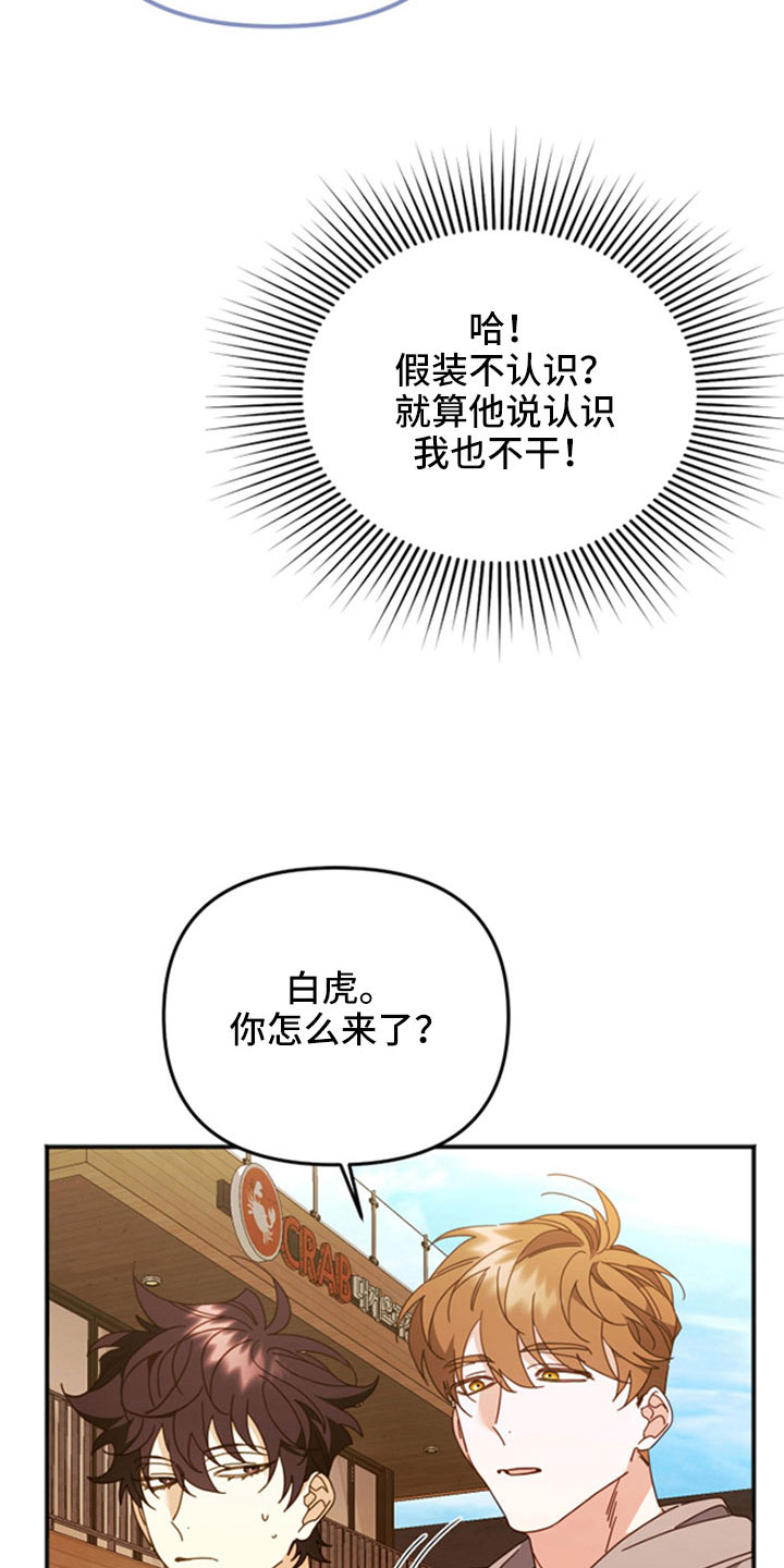 第55章：已经交流过12
