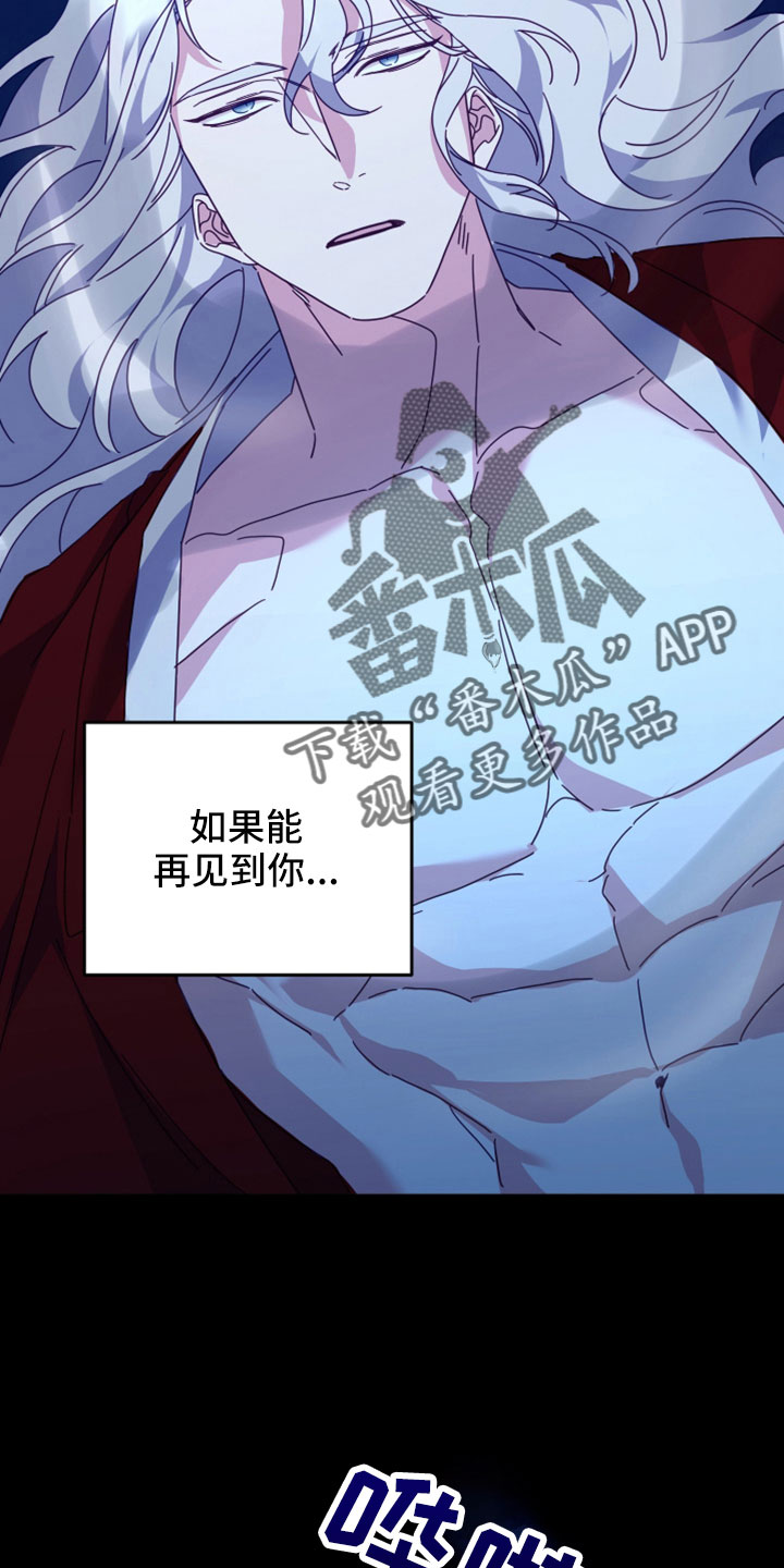 第45章：赌约1