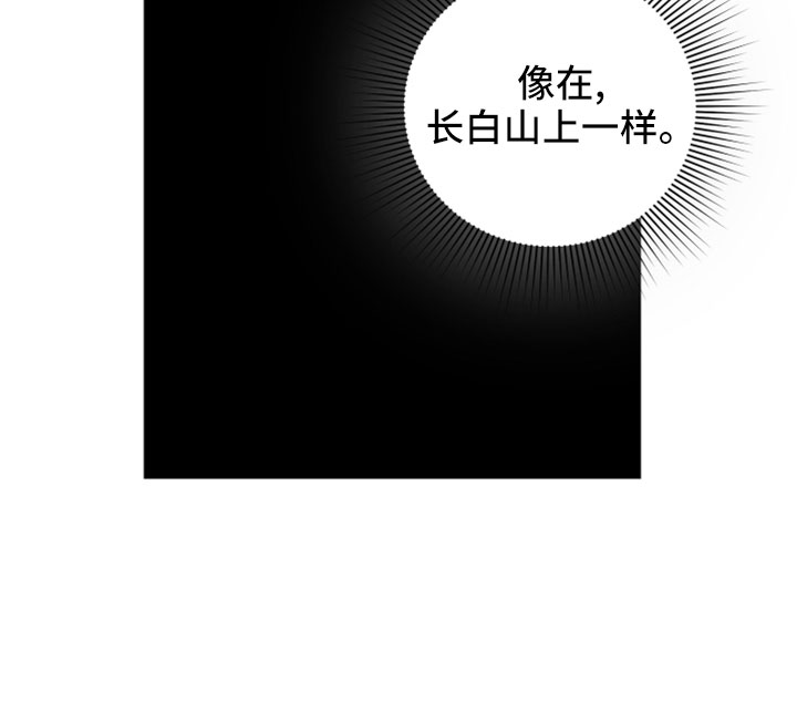 第49章：致命弱点17